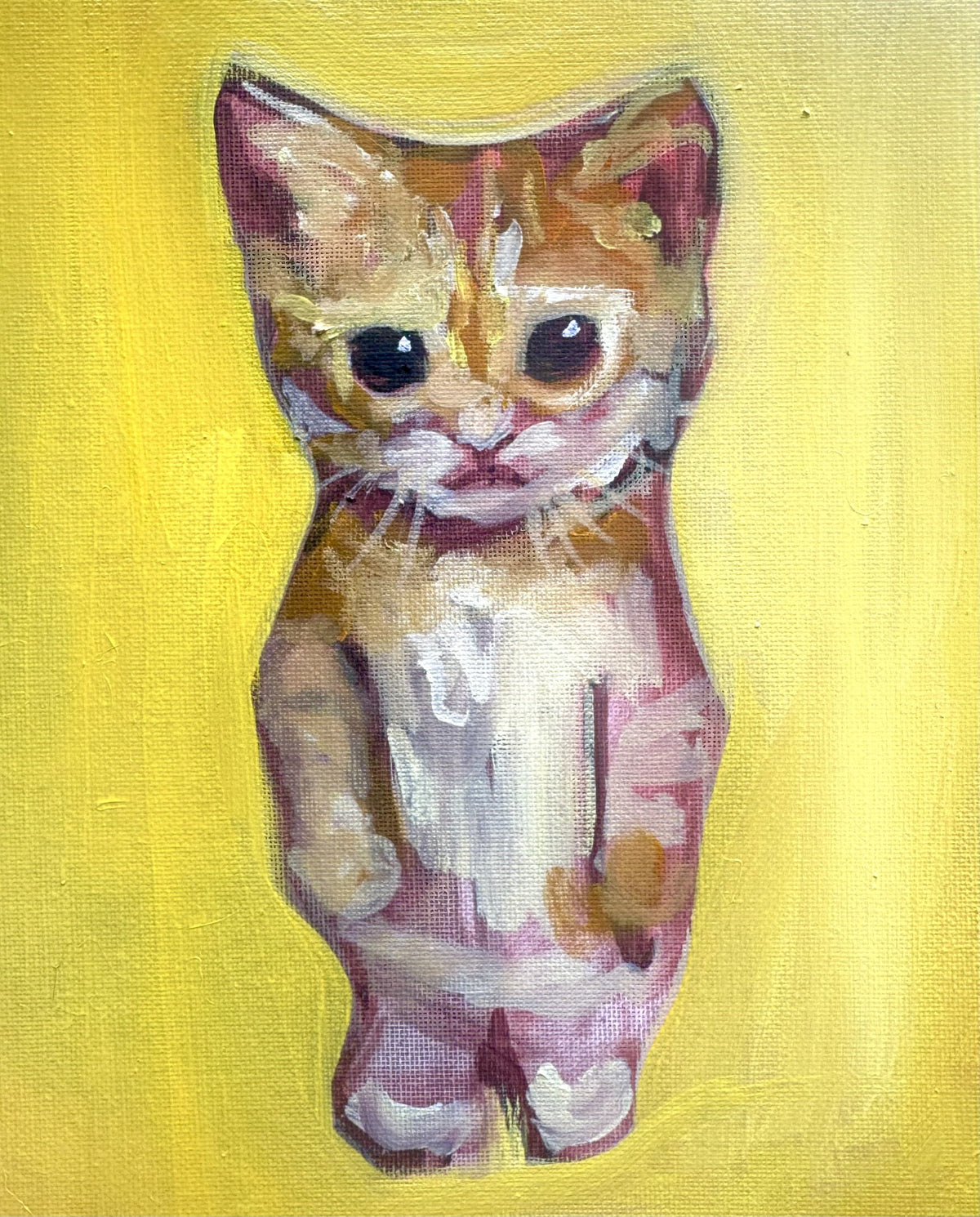 Gato Canvas Print (stretched canvas)
